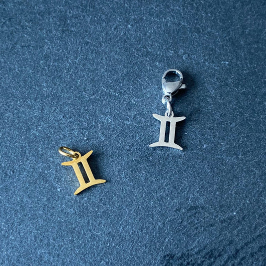 Gemini x CHARM