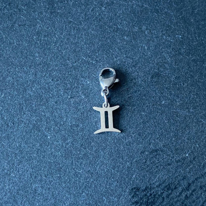 Gemini x CHARM