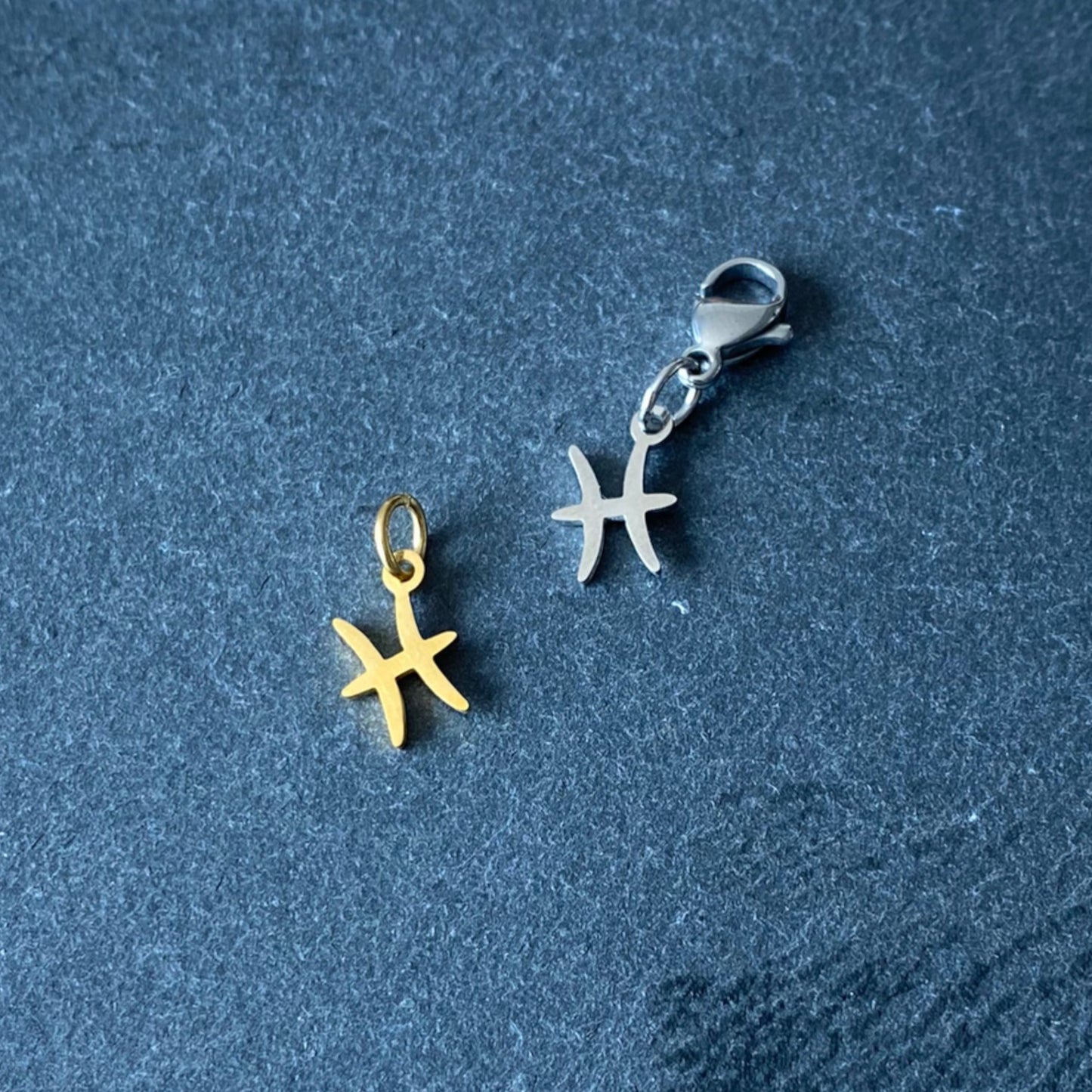 Pisces x CHARM