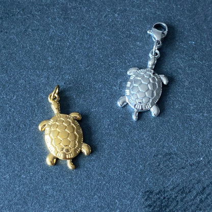 Tortue x CHARM