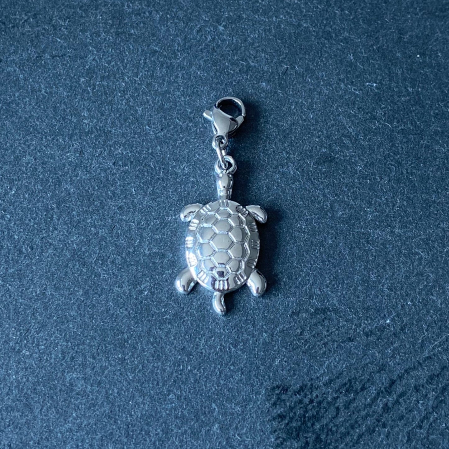 Tortue x CHARM