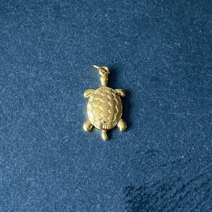 Tortue x CHARM